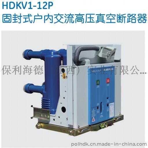 HDKV1-12P固封式高压真空断路器-保利海德中外合资